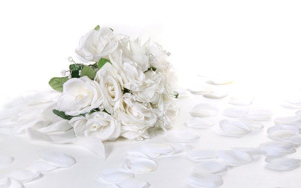 цветы фото, белые розы с лепестками, белоснежные розы