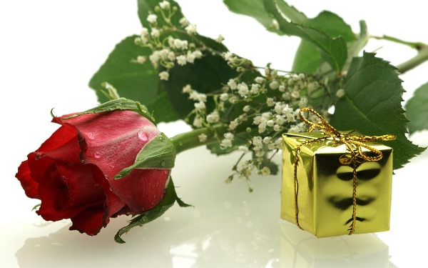 цветы фото, роза и подарок