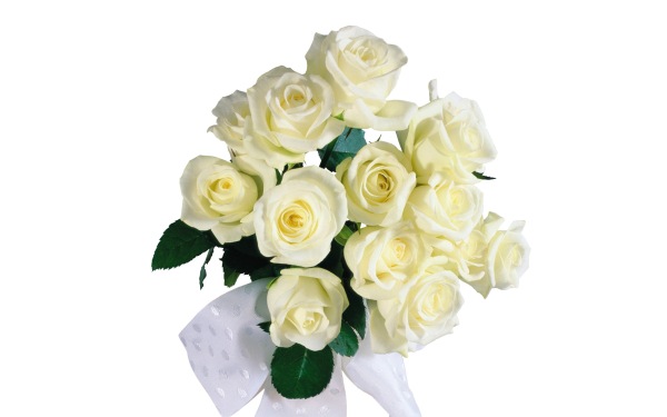цветы фото, белые розы