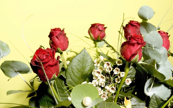цветы фото, букет с розами