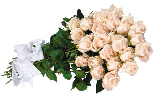 цветы фото, букет розовых роз