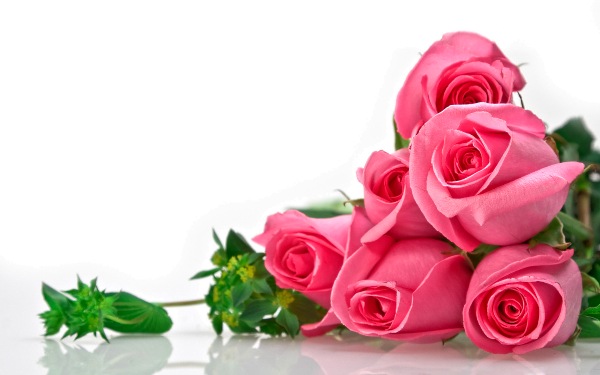 цветы фото, букт роз красивый