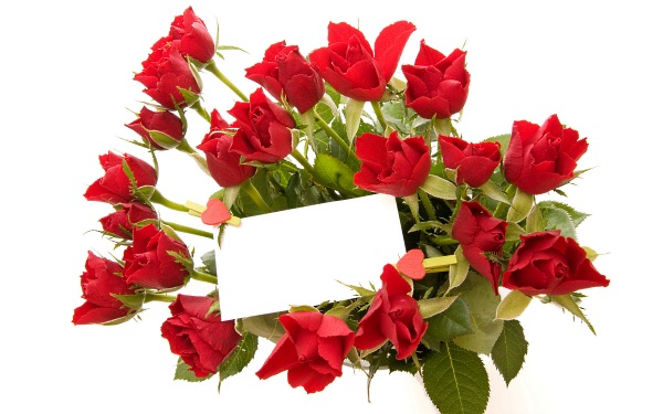 цветы фото, букет роз с открыткой