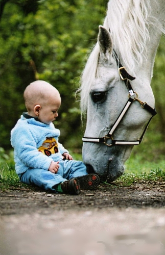 ребенок и лошадь