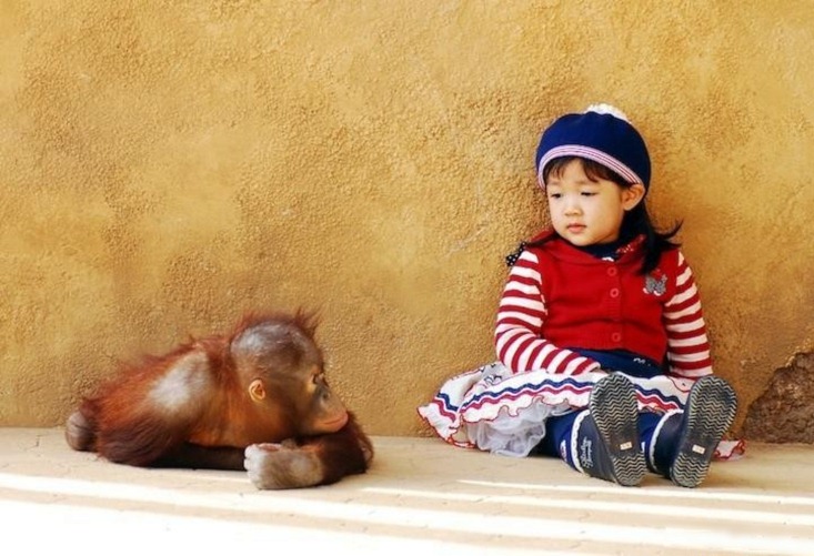 девушка и обезьяна